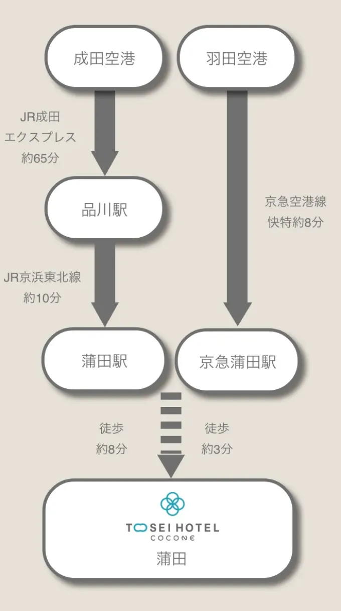 空港からお越しのお客様