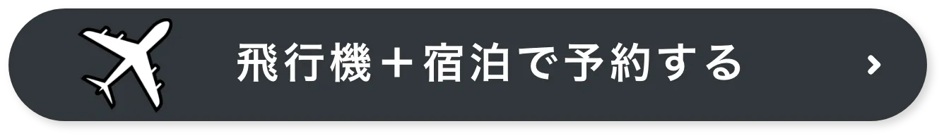 飛行機＋宿泊で予約する